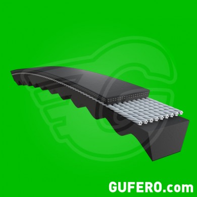 GUFERO-1.jpg