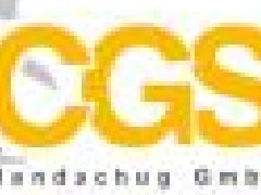 德國(guó)CGS過(guò)濾器