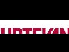 美國斯特文特Sturtevant自動(dòng)變速器